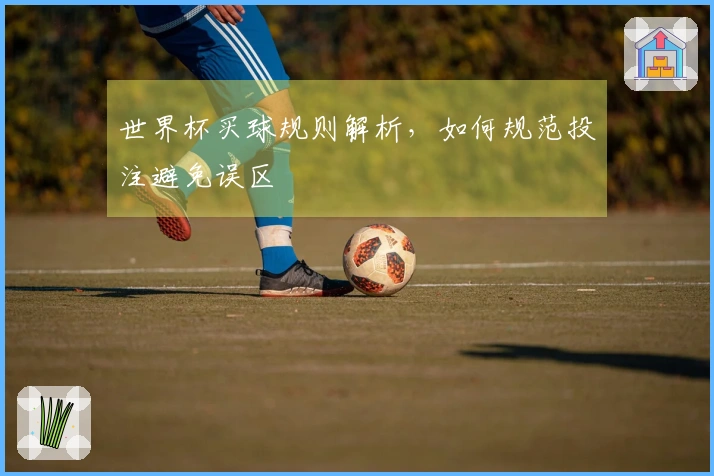 世界杯买球规则解析，如何规范投注避免误区