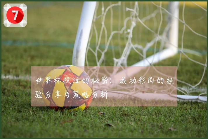 世界杯投注的秘密：成功彩民的经验分享与策略分析