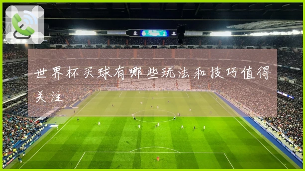 世界杯买球有哪些玩法和技巧值得关注