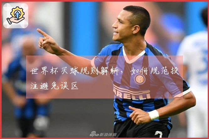 世界杯买球规则解析，如何规范投注避免误区