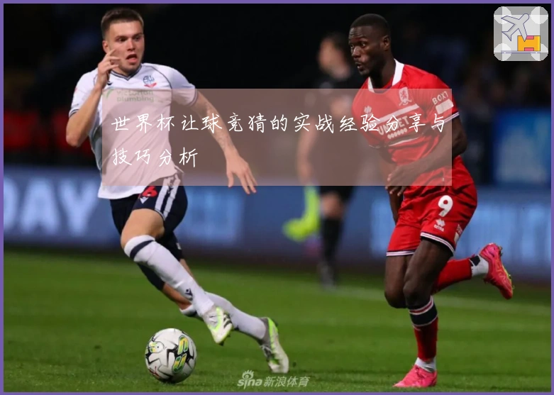 世界杯让球竞猜的实战经验分享与技巧分析