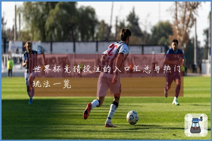 世界杯竞猜投注的入口汇总与热门玩法一览