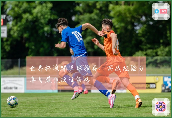 世界杯滚球买球推荐：实战经验分享与最佳投注策略